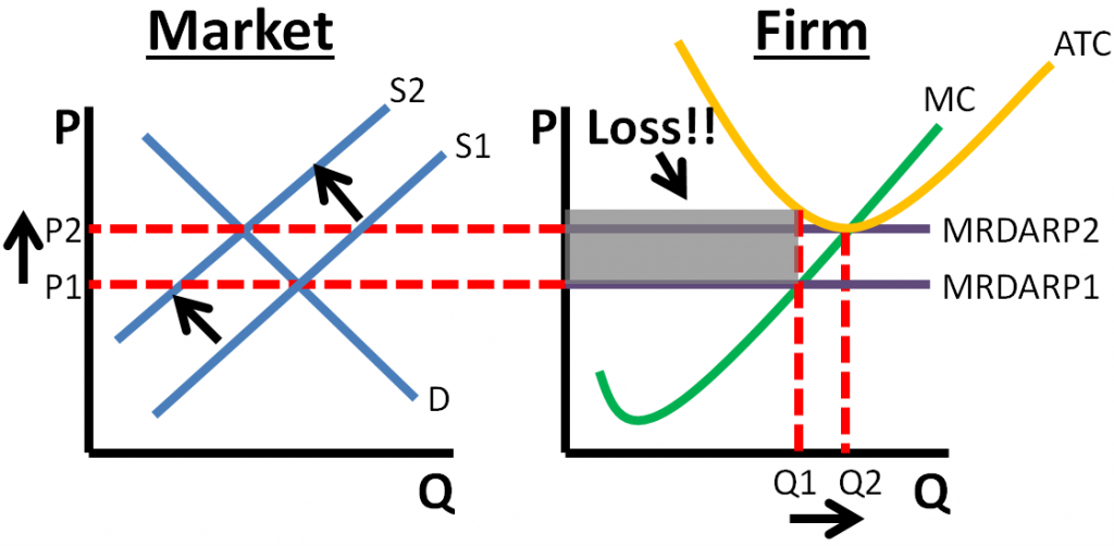 Perfect Competition Loss to Long Run